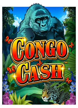 เคล็ดลับเด็ดโกยชัยด้วยสูตร มาเฟีย บา คา ร่า